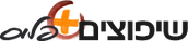שיפוצים פלוס